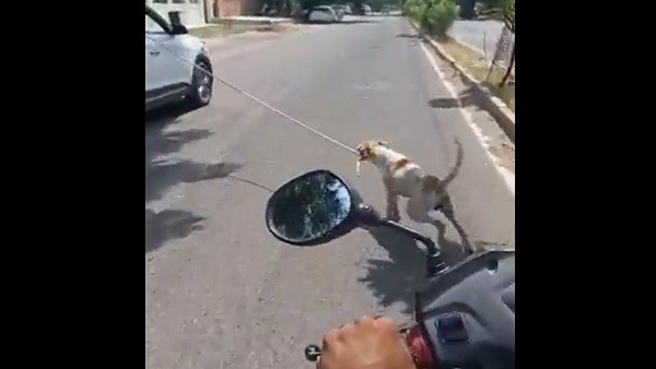  डॉक्टर के खिलाफ दर्ज हुआ पुलिस केस 