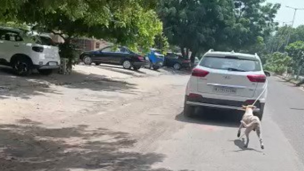 बाइक सवार ने देख किया विरोध 