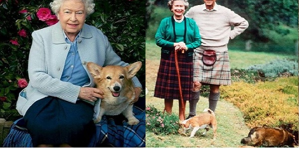 कुत्तों के अलावा कारों का भी था शौक