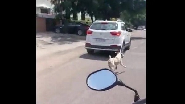 वीडियो देख, पसीजा लोगों का दिल