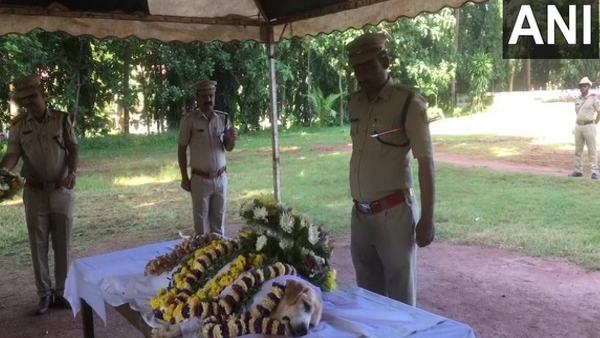 एक्सप्लोसिव की पहचान करने में एक्सपर्ट गीता