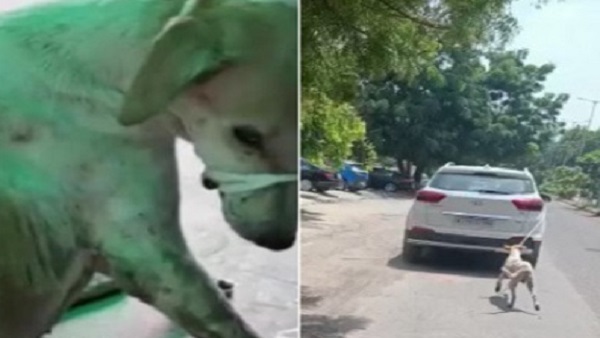 डॉक्टर के लाइसेंस रद्द करने की मांग