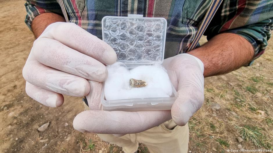 Provided by Deutsche Welle Provided by Deutsche Welle