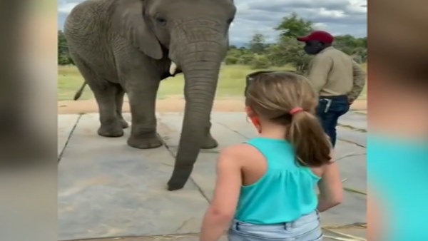 हिट हुआ ट्विटर पर वीडियो