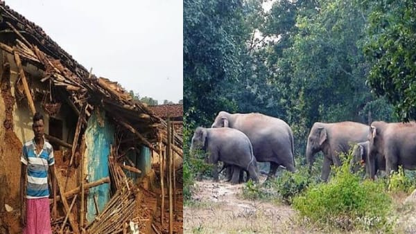 घरों को पहुंचाया था नुकसान