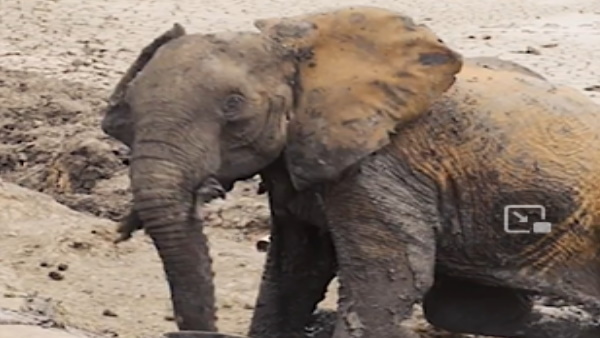 लोगों ने रेसक्यू टीम की तारीफ की और कहा आप पृथ्वी पर देवदूत हैं लोगों ने रेसक्यू टीम की तारीफ की और कहा आप पृथ्वी पर देवदूत हैं