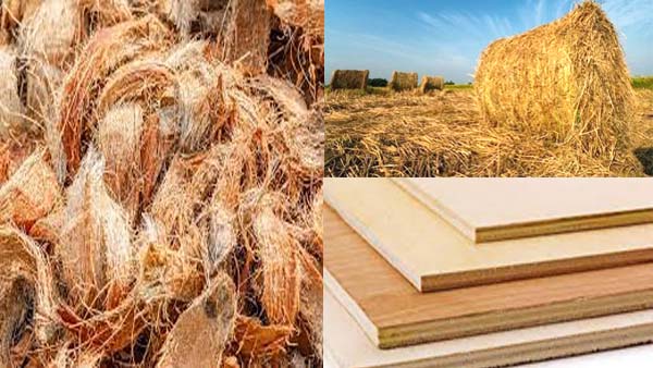 छात्रों ने ढूंढ निकाला प्लाईवुड का विकल्प