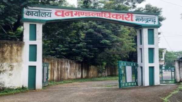 प्रकृति प्रेमियों के लिए होगा खास- डीएफओ प्रकृति प्रेमियों के लिए होगा खास- डीएफओ