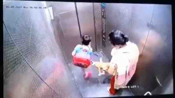 कुत्ते का न था रजिस्ट्रेशन और न टीकाकरण