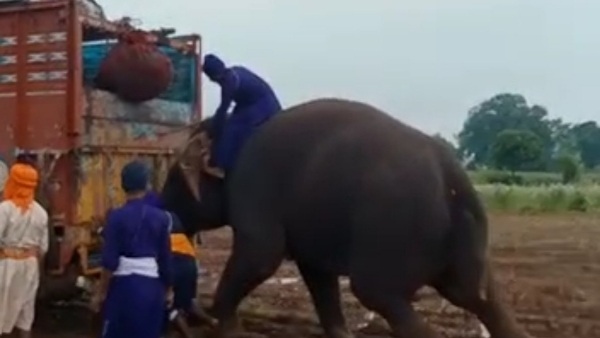 सिख समाज के जत्थे में शामिल है हाथी और घोड़े