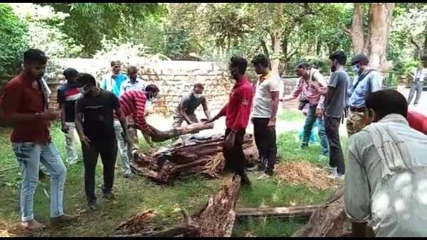 नई दिल्ली से मीरा को लाया गया था ग्वालियर