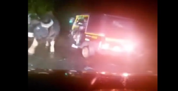 केरल में इन जगहों पर मिलते हैं ये जंगली जानवर केरल में इन जगहों पर मिलते हैं ये जंगली जानवर