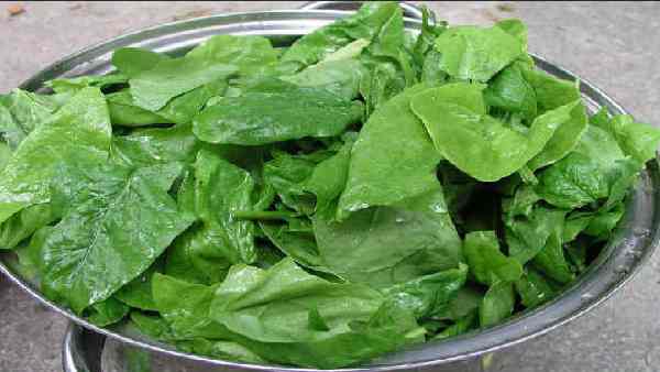 क्या आपको क्लोरोफिल वॉटर का सेवन करना चाहिए ? क्या आपको क्लोरोफिल वॉटर का सेवन करना चाहिए ?