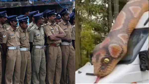 अब बंदरों के आतंक से सुरक्षित है थाना अब बंदरों के आतंक से सुरक्षित है थाना