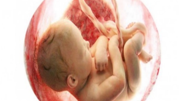 सामने आई गर्भ में पल रहे बच्चे के मुस्कुराने और रोने की वजह