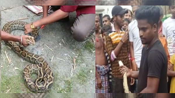 बड़ी मशक्क्त से किया गया रेस्क्यू 