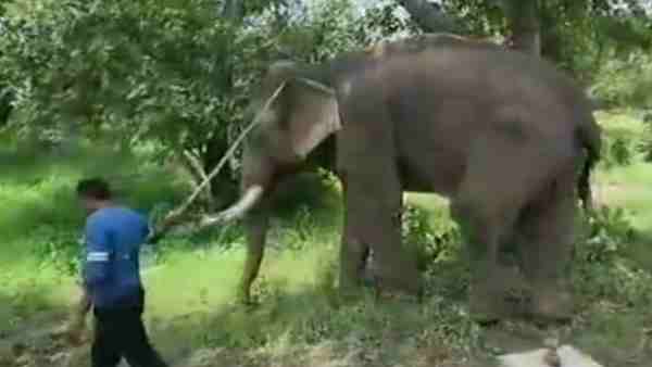 बेहद शांत स्वभाव की है लक्ष्मी