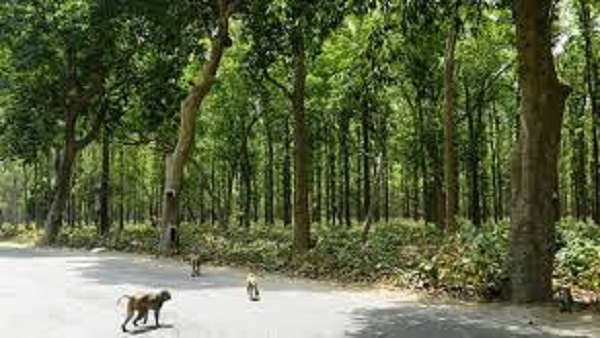 प्रकृति से जुड़ेंगे पर्यटक