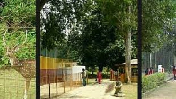 मनोरंजन के साथ रोमांच भी