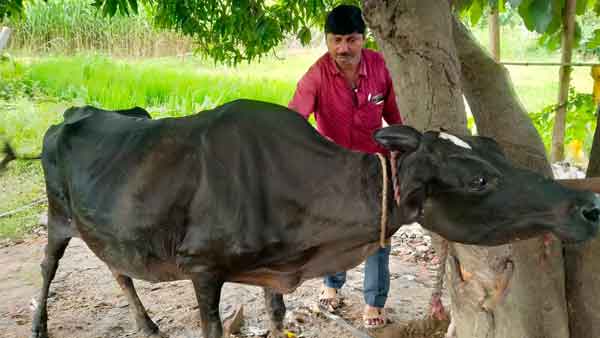 जारी किए गए इन नंबरों पर दें सूचना
