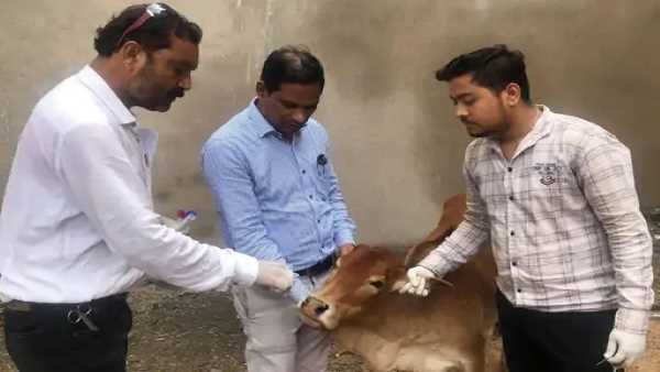 राज्य सरकार ने जारी किया था अलर्ट राज्य सरकार ने जारी किया था अलर्ट