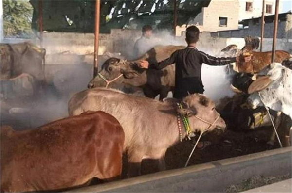 बनासकांठा जिले के 961 गांवों में कोहराम बनासकांठा जिले के 961 गांवों में कोहराम