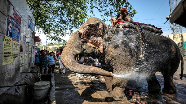 घटना देखने वालों के उड़ गए होश 