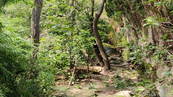 लगभग 25 दिन पहले शिकार का अनुमान 