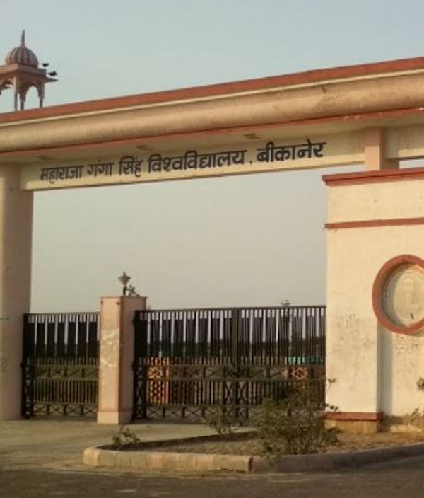 2006 में हुई रिचा की शादी