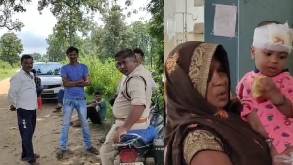 पहले से मौजूद बाघ ने कर दिया था हमला पहले से मौजूद बाघ ने कर दिया था हमला