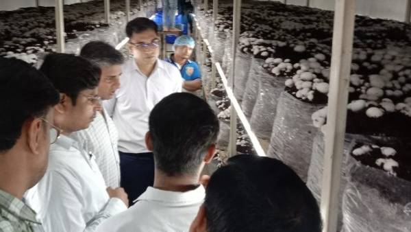 औरंगाबाद में लगा बिहार का पहला मशरूम यूनिट औरंगाबाद में लगा बिहार का पहला मशरूम यूनिट