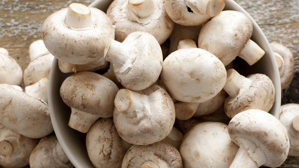 हर महीने 400 मेट्रिक टन उत्पादन की झमता हर महीने 400 मेट्रिक टन उत्पादन की झमता