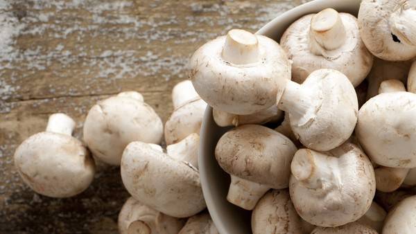 युवाओं और महिलाओं को हो रहा काफी फायदा युवाओं और महिलाओं को हो रहा काफी फायदा