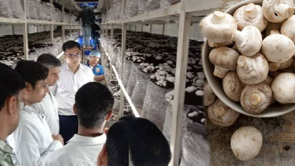 हर महीने 400 मेट्रिक टन उत्पादन की झमता