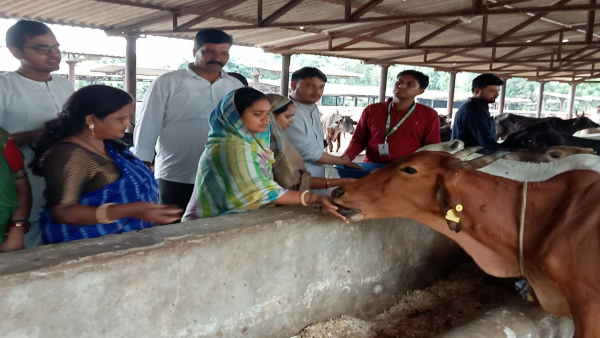 क्या है लंपी वायरस