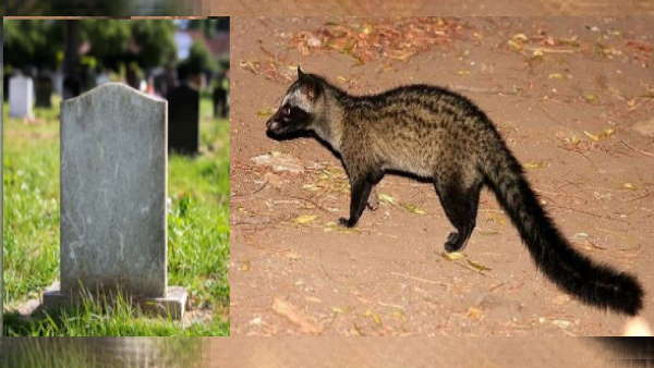 कोरोनाकाल में था सुर्ख़ियों में 