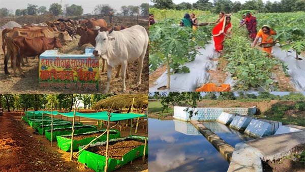 ग्रामीण क्षेत्रों में हो रहा नवाचार ग्रामीण क्षेत्रों में हो रहा नवाचार