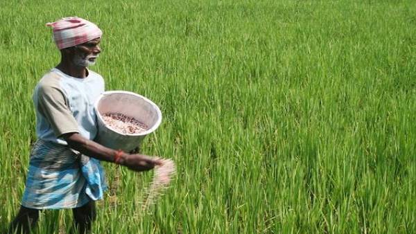 21 लाख अपात्र लोग उठा रहे किसान सम्मान निधि का लाभ 21 लाख अपात्र लोग उठा रहे किसान सम्मान निधि का लाभ