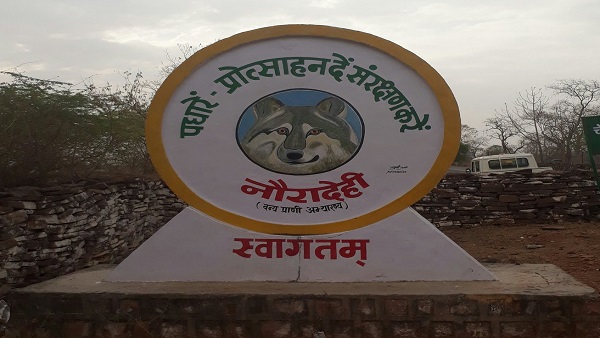 नौरादेही में लाए जा सकते हैं चीते, प्राकृतिक रुप से अनुकूल है नौरादेही में लाए जा सकते हैं चीते, प्राकृतिक रुप से अनुकूल है