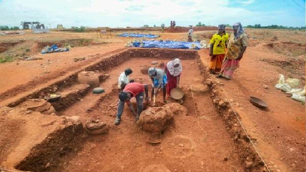 प्रवासन पैटर्न की समझ को बदला