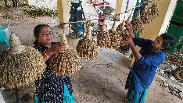 85% चावल उत्पादन खरीफ सीजन पर ही निर्भर