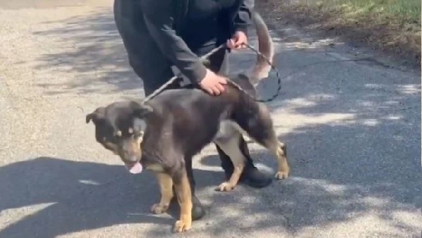 इमरजेंसी वार्ड में होना पड़ा भर्ती