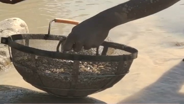 पन्ना जिले की रुंझ नदी में हीरा तलाशने मेला सा लग रहा