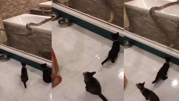 जानें अंत में क्‍या हुआ 