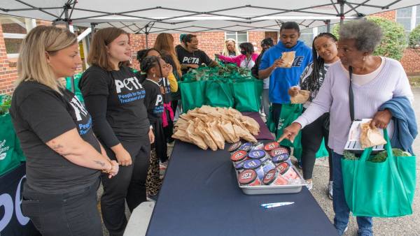 जानवरों की सुरक्षा का अनोखा तरीका