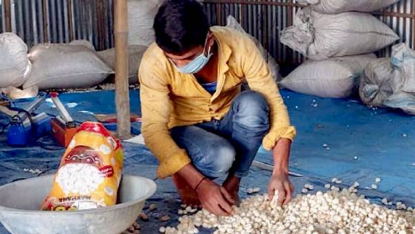 क्वालिटि टेस्टिंग के बाद मिलता है टैग