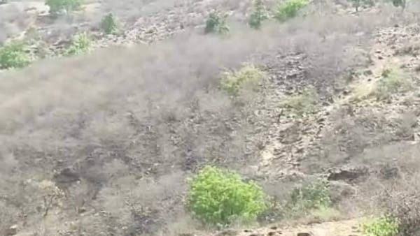 रोक लगने पर डायमंड ब्लॉक होगा प्रभावित रोक लगने पर डायमंड ब्लॉक होगा प्रभावित