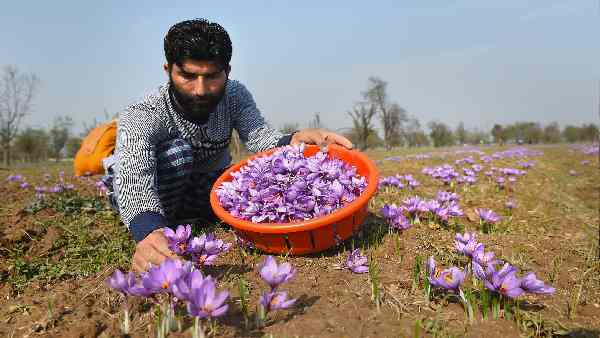 किसानों को दी जा चुकी है ट्रेनिंग