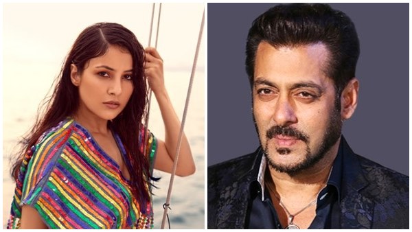 सलमान खान संग करेंगी फिल्म