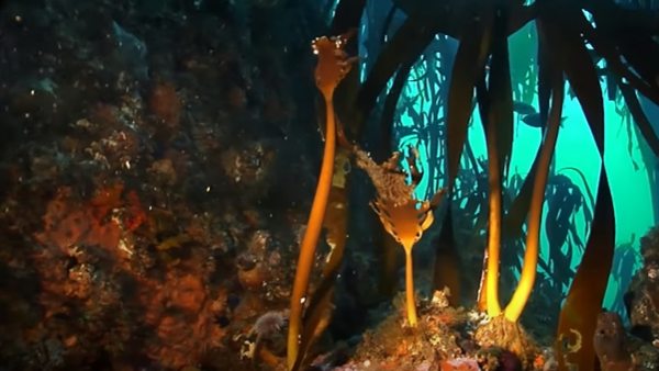 क्यों हो रहे तबाह?